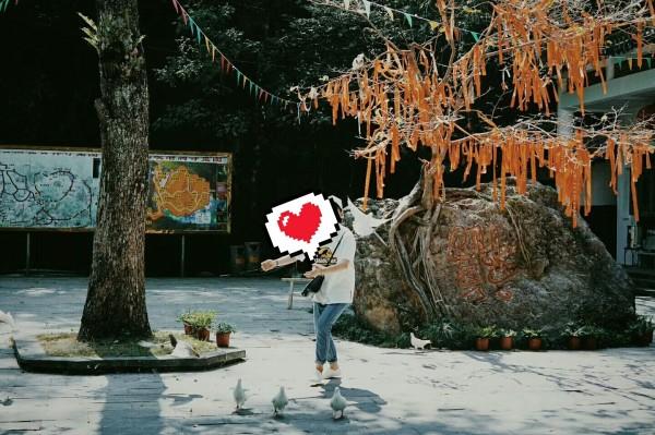 线上OSSD课程全是雷点?被压分?那是因为你没选好学校!